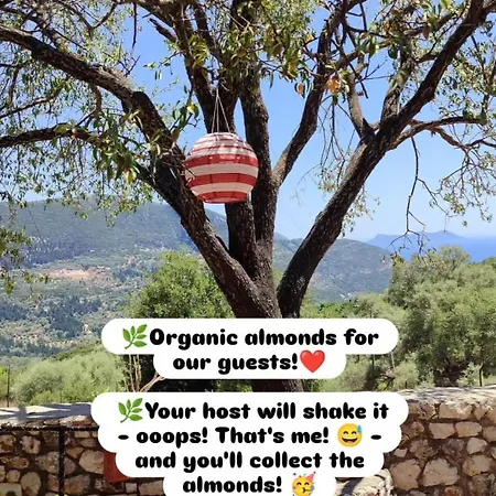 Nyaraló το λαϊνάκι By Fox Tale Fternó