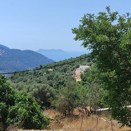 το λαϊνάκι By Fox Tale Fternó