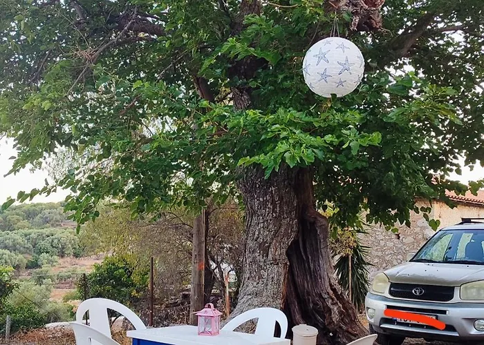 το λαϊνάκι By Fox Tale * Fternon