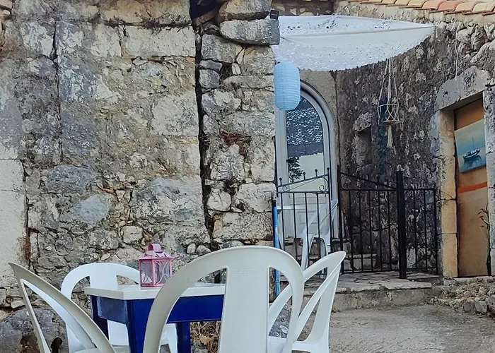 το λαϊνάκι By Fox Tale